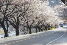 아름다운 도로는 어디…국토부 경관도로 52선 선정