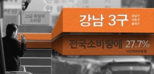 고급 휘발유 3분의 1이 강남 3구에서 소비