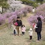 효성, 올해도 안양공장 개방…진달래 축제 함께 즐겨요