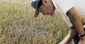 [단독] 375억원에 정주영 회장 얼 서산농장 토지 매각한 현대건설
