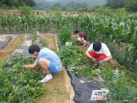 기독교 대안학교 팔렬중고등학교, 신앙 중심 인성교육 눈길