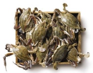 대형마트 꽃게 전쟁…반나절만에 가격 30원 내린 사연은?