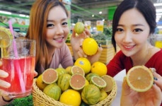 홈플러스, 핑크레몬·마이어 레몬 등 이색 레몬 선뵈
