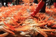 제철 맞은 대게의 깊은 맛, 울진 대게축제에서 만나다