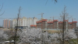 [르포] 배곧 웃돈 호가 3000만원…신규 단지에만 집중된 반쪽 열기