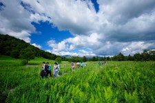 [이동혁의 풀꽃나무이야기] 고산 식물의 보고, 백두산(2)