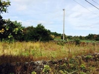 [제주2공항 현장은]② 오전 잠잠하던 온평리 오후엔 발칵…지명 혼란에 희비 바뀌어