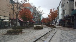 [르포] 판교 현대백화점 오픈 3개월…주변 상권 장사 안돼 못 살겠다