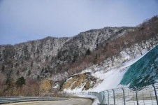 [이동혁의 풀꽃나무이야기] 꼬리겨우살이 샛노란 열매 볼수 있는 강원도 구룡령