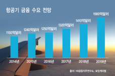 “저금리 속 새 먹거리 찾아라”…은행들이 꽂힌 항공기 투자