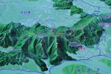 [이동혁의 풀꽃나무이야기] 애기중의무릇 대군락지, 경북 칠곡의 가산산성