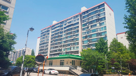 [르포] 개포 찍고 압구정…강남 재건축 투자 동선(動線)