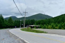 [이동혁의 풀꽃나무이야기] 천상의 화원 함백산 만항재의 야생화