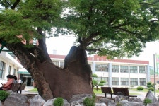 [이현군의 옛지도 여행] 임꺽정 작가 벽초 홍명희가 태어난 충청도 괴산