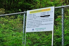 [이동혁의 풀꽃나무 이야기] 월귤 등 풍혈지대 식물군을 볼 수 있는 강원도 홍천