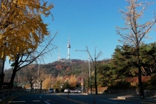 [서울 미식로드]① 남산밑 제2의 이태원 소월로…경리단길 반값에도 3.3㎡당 5000만원
