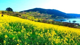 비행기 안타도 이국적인 풍경 가득…올 여름 가볼만한 섬 3곳
