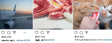 가상화폐 광풍에 외국인도 “GAZUA(가즈아)!!”