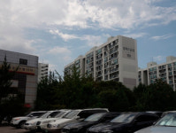 전체 주택서 아파트가 차지하는 비중 60% 첫 돌파