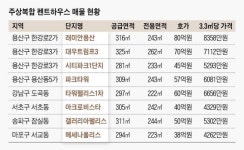 주상복합 펜트하우스에 무슨 일이?…줄줄이 매물로 쏟아져