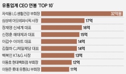 유통사 전문경영인 연봉킹은...차석용 LG생건 부회장 33억