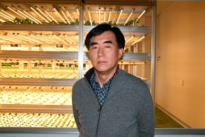 (주)비티팜(BT Farm Inc) | [미래농업]⑦ IT·BT로 특수채소 키우는 '식물공장'