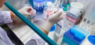 바이오이즈, 엠디엔더슨 암센터와 HER2 과발현 암대상 혁신신약 공동개발 추진
