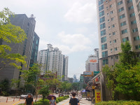 시장님 한말씀에…여의도·용산 주변도 들썩