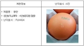 식약처, 살충제 성분 초과 검출된 농가 계란 회수·폐기