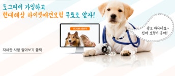 도그티비, 신규 가입자 대상 무료 애견보험 이벤트 실시