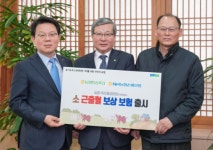 농협금융, 농협축산경제와 ‘소 근출혈 보상보험’ 출시