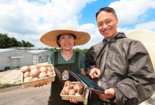 KT, 영농태양광 사업 본격화…“농사와 태양광 발전 동시에”