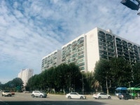 재건축 속도내는 장미아파트…촘촘한 규제 뚫기는 숙제