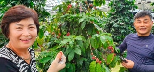 걱정되던 노후 준비 커피나무로 끝냈어!!...강순후 대표