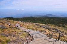 [이동혁의 풀꽃나무이야기] 현실이 된 한라산 구상나무 대규모 枯死, 대책은 없나?