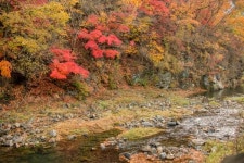 나 오고 나서 수익이 두배로 늘었죠...서다혜 소소리농장 대표