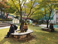 늙어가던 간장게장 골목의 회춘… ‘건너수 먹방길’ 뜬다