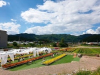 농부로 변신한 IT스타트업 창업 멤버...한해 농장 방문객만 10만명