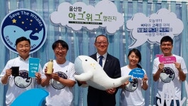 고래가 삼킬 수 있는 페트병을 고래 인형 솜으로