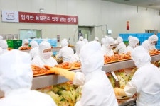 [르포] 횡성 종가집 김치공장 맛있게 먹을 수 있는 기간 2배로 늘리는게 기술