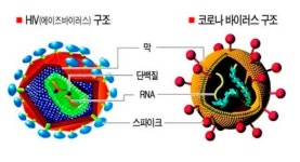 [과학TALK] 세계 전염병 80% 주범… 변이 빠른 RNA바이러스