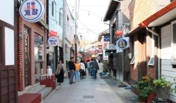 드라마 동백이가 끌어올린 구룡포 땅값… “까멜리아 효과 무섭네”