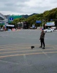 [속보]홍준표, 출근길 유세 중 골프채로 위협당해