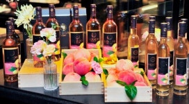 [술 뉴스레터] 한국와인, 알고 마시면 좋아하게 됩니다