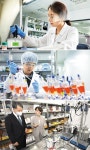 제약·바이오 강국 코리아 60여개 기업 전사들 코로나 우리가 잡는다