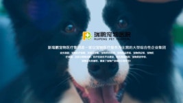 동물병원 기업가치가 4조원?...텐센트도 주목하는 中 ‘신루이펑’