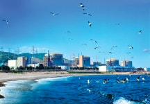 탈원전 딜레마… 월성 1호기 손실 보전하면 조기 폐쇄는 정부 결정 자인하는 셈