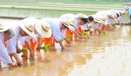 경자유전(耕者有田) 원칙 벗어난 농지(農地)도 집중 단속