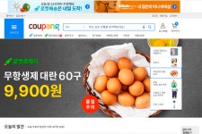 온라인 쇼핑 세대차…“1020은 전문몰, 30대 이상은 종합몰 선호”