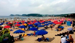 전국 찜통더위... 낮 최고기온 38도 폭염특보(종합)